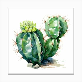 Watercolor Cactus 13 Canvas Print