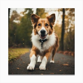 Dog Walking In The Woods Canvas Print