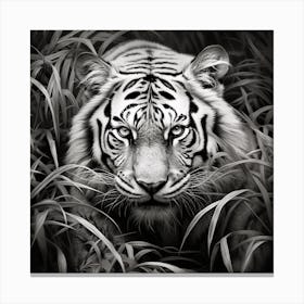 White Tiger In The Grass Canvas Print