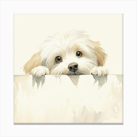 Shih Tzu 6 Canvas Print