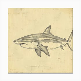 Tiger Shark Vintage Illustration 1 Canvas Print
