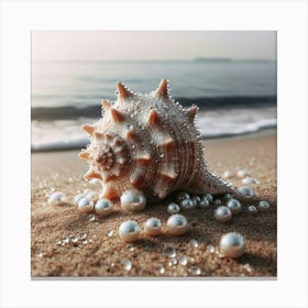 Seashells On The Beach Canvas Print