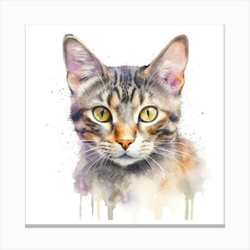 German Rex Cat Portrait 2 Canvas Print