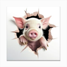 Pig Peeking Through A Hole Canvas Print