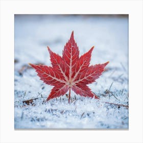 Red Maple Leaf In The Snow Canvas Print