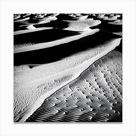 Sand Dunes, black and white art Canvas Print