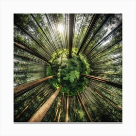 World Of Trees 1 Canvas Print