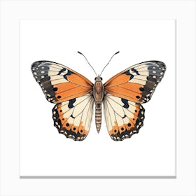 Butterfly 13 Canvas Print