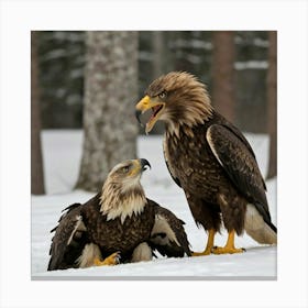 Eagles Canvas Print