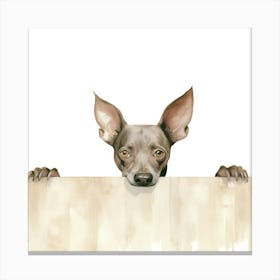 Xoloitzcuintli Dog 1 Canvas Print