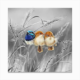 Three Birds 1 Canvas Print