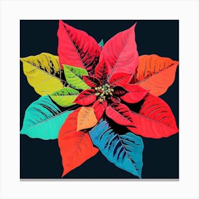 Andy Warhol Style Pop Art Flowers Poinsettia 1 Square Canvas Print