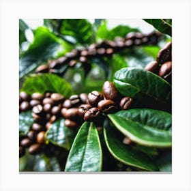 Coffee Beans On A Tree 18 Canvas Print