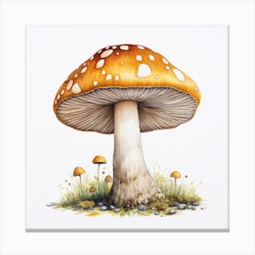 Mushroom drawing Canvas Print