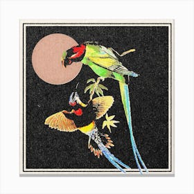 Birds Of Paradies Canvas Print