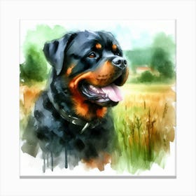 Watercolor Of Rottweiler Canvas Print