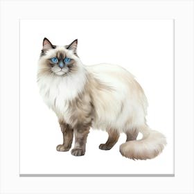 Samantha Cat Canvas Print