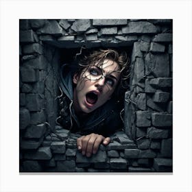 Harry Potter And The Chamber Of Secrets Canvas Print