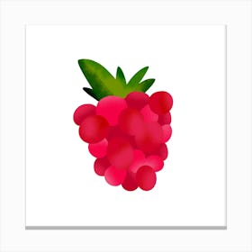 Raspberry  Canvas Print