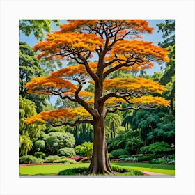 Orange Tree In The Garden 1 Canvas Print