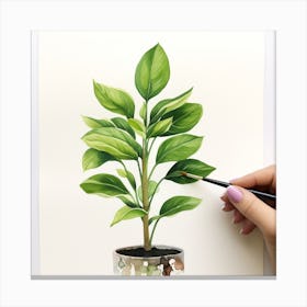 Watercolor Of A Plant Canvas Print