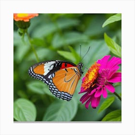 Butterfly On Zinnia Flower 1 Canvas Print