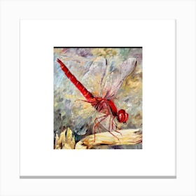 Dragonfly Canvas Print