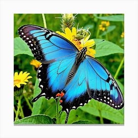 Blue Swallowtail Butterfly 3 Canvas Print