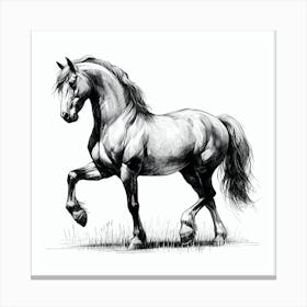 Horse Drawing 1 Canvas Print