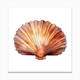 Seashell 2 Canvas Print