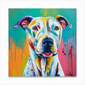 Pit Bull Terrier Canvas Print