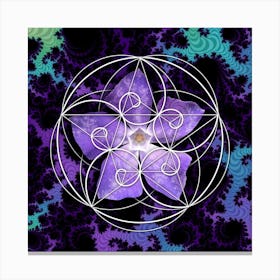 Sacred Geometry Fibonacci Spiral Flowers 5 Stampe su tela