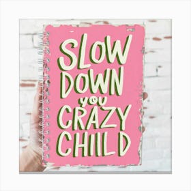 Slow Down You Crazy Child 2 Canvas Print