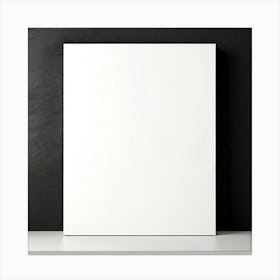 Mock Up Blank Canvas White Pristine Pure Wall Mounted Empty Unmarked Minimalist Space P (20) Canvas Print