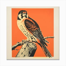 Retro Bird Lithograph American Kestrel 3 Canvas Print