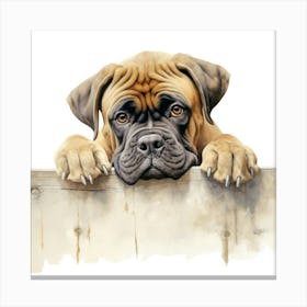 Boxer Dog 9 Canvas Print