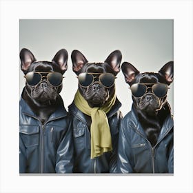 Three French Bulldogs In Sunglasses Canvas Print