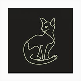 Cat Sitting On A Black Background Canvas Print