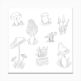 Doodle Mushrooms Canvas Print