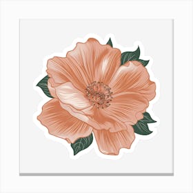 Peach Flower Canvas Print