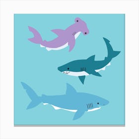 Sharks 2 Canvas Print