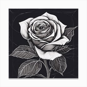 Black And White Rose Canvas Print