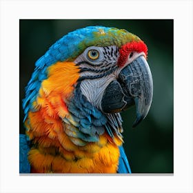 Colorful Parrot 9 Canvas Print