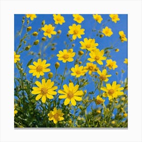 Yellow Flowers Against A Blue Sky Canvas Print