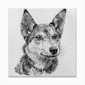 Canaan Dog Line Sketch 4 Canvas Print