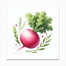 Radish 1 Canvas Print