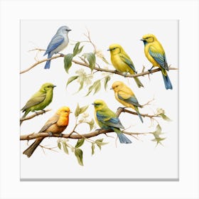 Birds On A Branch Canvas Print