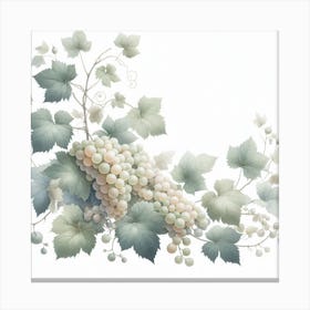 White Grapes and Vine Canvas Print