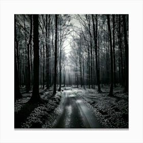 Firefly Noir Forest A Monochromatic Look With High Contrast And Deep Shadows 3 Toile