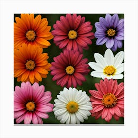 Daisy Bouquet Canvas Print